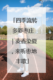 四季流转 多彩枣庄｜麦香染夏，来听枣地丰歌