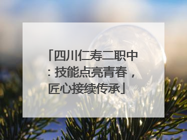 四川仁寿二职中：技能点亮青春，匠心接续传承