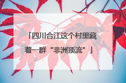 四川合江这个村里藏着一群“非洲顶流”