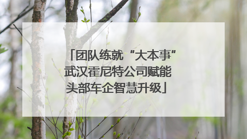 团队练就“大本事” 武汉霍尼特公司赋能头部车企智慧升级