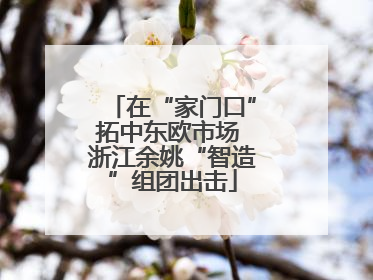 在“家门口”拓中东欧市场 浙江余姚“智造”组团出击