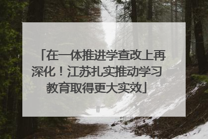 在一体推进学查改上再深化！江苏扎实推动学习教育取得更大实效