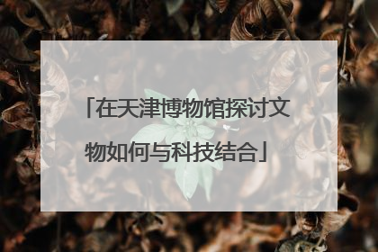 在天津博物馆探讨文物如何与科技结合
