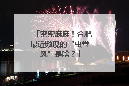 密密麻麻！合肥最近频现的“虫卷风”是啥？