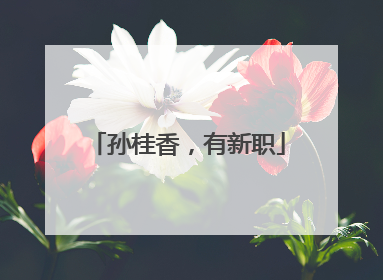 孙桂香，有新职