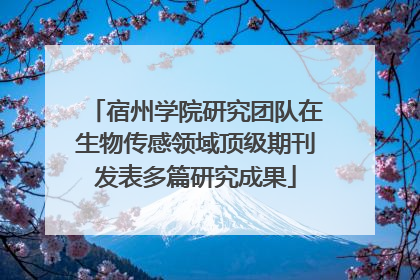 宿州学院研究团队在生物传感领域顶级期刊发表多篇研究成果