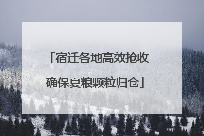 宿迁各地高效抢收 确保夏粮颗粒归仓