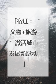 宿迁：“文物+旅游”激活城市发展新脉动