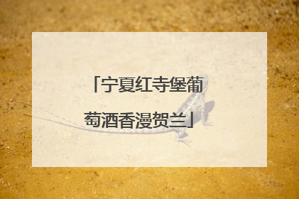 宁夏红寺堡葡萄酒香漫贺兰