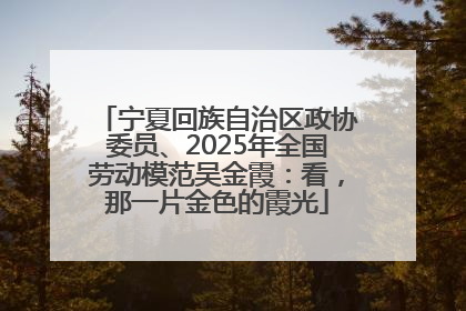 宁夏回族自治区政协委员、2025年全国劳动模范吴金霞：看，那一片金色的霞光