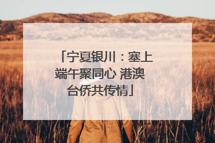 宁夏银川：塞上端午聚同心 港澳台侨共传情