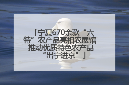 宁夏670余款“六特”农产品亮相农展馆 推动优质特色农产品“出宁进京”