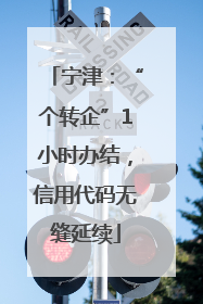 宁津：“个转企”1小时办结，信用代码无缝延续