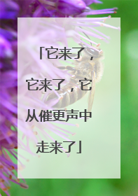 它来了，它来了，它从催更声中走来了
