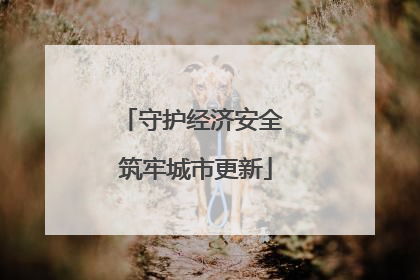 守护经济安全 筑牢城市更新