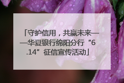 守护信用，共赢未来——华夏银行绵阳分行“6.14”征信宣传活动
