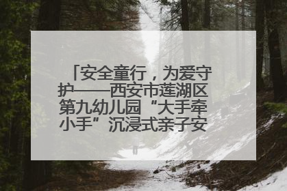 安全童行，为爱守护——西安市莲湖区第九幼儿园“大手牵小手”沉浸式亲子安全体验活动