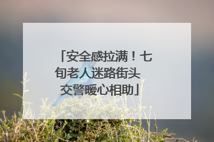 安全感拉满！七旬老人迷路街头 交警暖心相助
