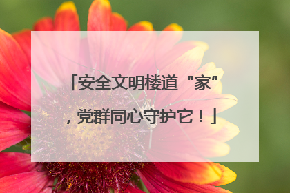 安全文明楼道“家”，党群同心守护它！