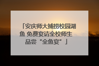 安庆师大捕捞校园湖鱼 免费宴请全校师生品尝“全鱼宴”