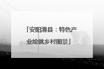 安阳滑县：特色产业绘就乡村图景