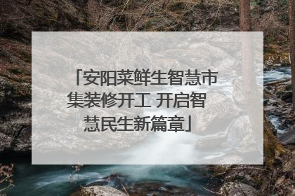 安阳菜鲜生智慧市集装修开工 开启智慧民生新篇章