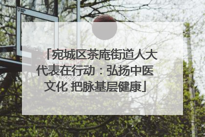 宛城区茶庵街道人大代表在行动：弘扬中医文化 把脉基层健康