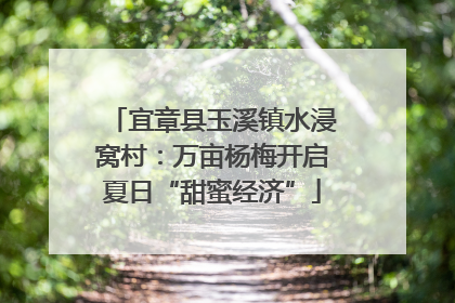 宜章县玉溪镇水浸窝村：万亩杨梅开启夏日“甜蜜经济”