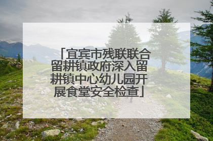 宜宾市残联联合留耕镇政府深入留耕镇中心幼儿园开展食堂安全检查