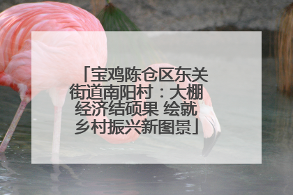宝鸡陈仓区东关街道南阳村：大棚经济结硕果 绘就乡村振兴新图景