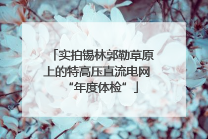 实拍锡林郭勒草原上的特高压直流电网“年度体检”