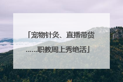 宠物针灸、直播带货……职教周上秀绝活