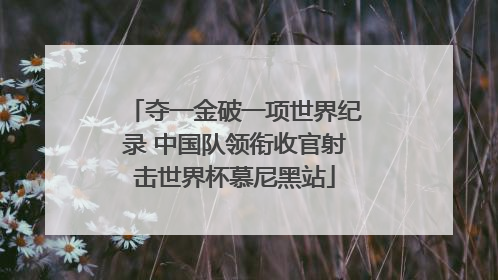 夺一金破一项世界纪录 中国队领衔收官射击世界杯慕尼黑站