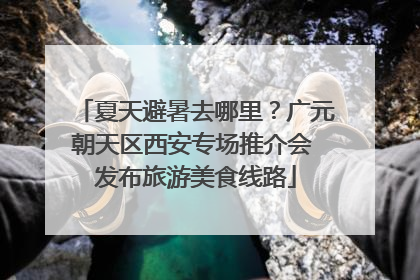 夏天避暑去哪里？广元朝天区西安专场推介会 发布旅游美食线路