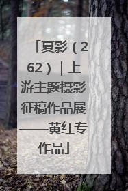 夏影（262）｜上游主题摄影征稿作品展——黄红专作品