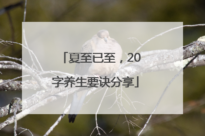 夏至已至，20字养生要诀分享