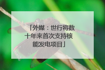 外媒：世行将数十年来首次支持核能发电项目