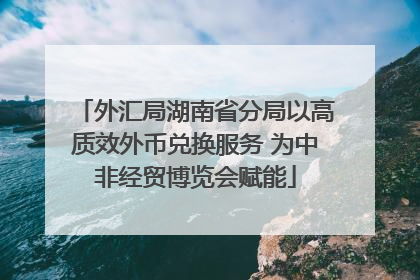 外汇局湖南省分局以高质效外币兑换服务 为中非经贸博览会赋能