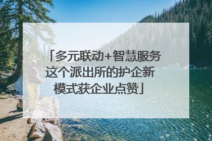 多元联动+智慧服务 这个派出所的护企新模式获企业点赞