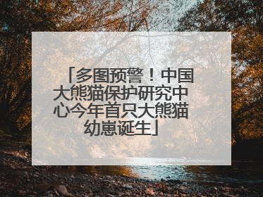 多图预警！中国大熊猫保护研究中心今年首只大熊猫幼崽诞生