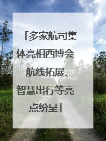 多家航司集体亮相西博会 航线拓展、智慧出行等亮点纷呈