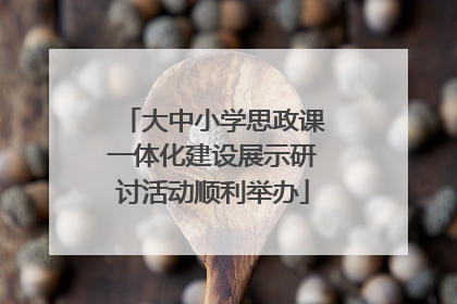 大中小学思政课一体化建设展示研讨活动顺利举办