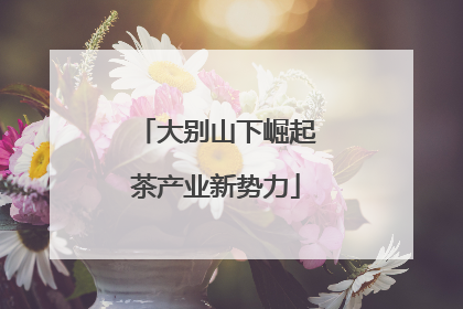 大别山下崛起茶产业新势力