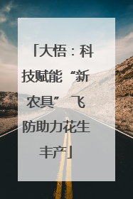 大悟：科技赋能“新农具” 飞防助力花生丰产