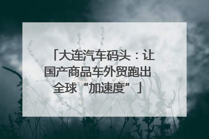 大连汽车码头：让国产商品车外贸跑出全球“加速度”