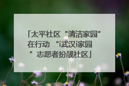太平社区“清洁家园”在行动 “i武汉i家园”志愿者扮靓社区
