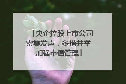 央企控股上市公司密集发声，多措并举加强市值管理