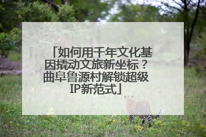 如何用千年文化基因撬动文旅新坐标？曲阜鲁源村解锁超级IP新范式