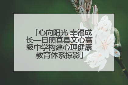 心向阳光 幸福成长—日照莒县文心高级中学构建心理健康教育体系掠影