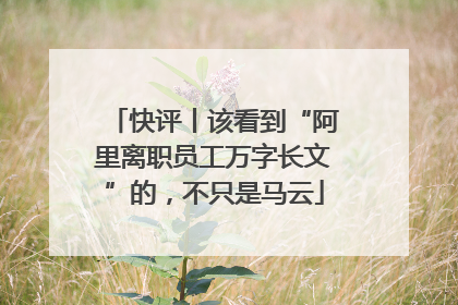 快评丨该看到“阿里离职员工万字长文”的，不只是马云